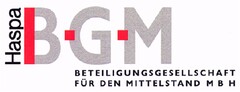 Haspa B-G-M BETEILIGUNGSGESELLSCHAFT FÜR DEN MITTELSTAND M B H