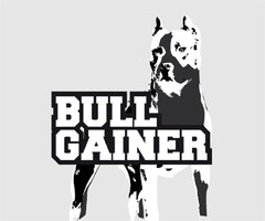 BULLGAINER