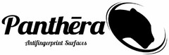 Panthera Antifingerprint Surfaces