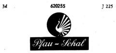 Pfau - Schal