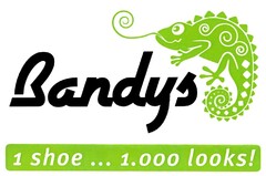 Bandys 1 shoe ... 1.000 looks!