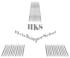 HKS HeizKörperSchal