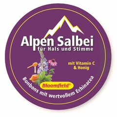 Alpen Salbei