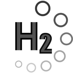 H2