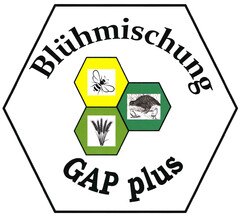 Blühmischung GAP plus