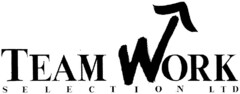 TEAM WORK SELECTION LTD