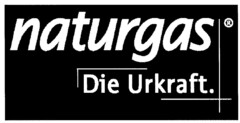 naturgas Die Urkraft.