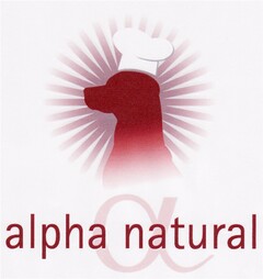 alpha natural