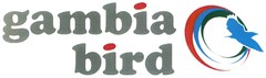 gambia bird
