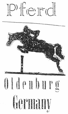 Pferd Oldenburg Germany