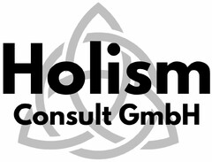 Holism Consult GmbH