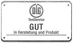 DLG TestService GUT