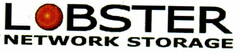 LOBSTER NETWORK STORAGE