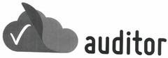 auditor