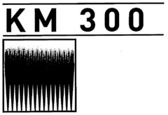 KM 300