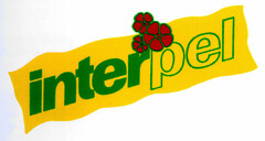 interpel