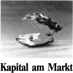 Kapital am Markt