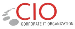 CIO CORPORATE IT ORGANIZATION