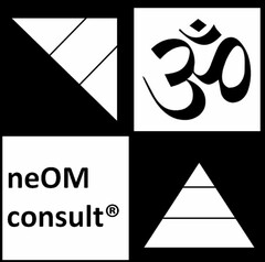 neOM consult