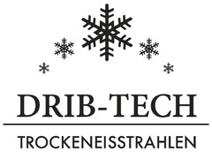 DRIB-TECH TROCKENEISSTRAHLEN