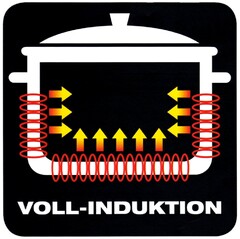 VOLL-INDUKTION