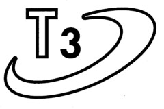 T3