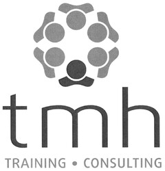 tmh TRAINING · CONSULTING