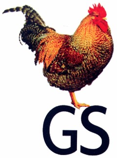 GS