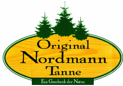 Original Nordmann Tanne Ein Geschenk der Natur.