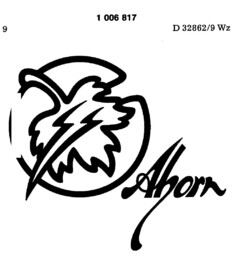 Ahorn