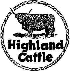 Highland Cattle