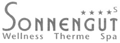 SONNENGUT Wellness Therme Spa