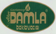 Gaziantep Altin DAMLA baklavacisi