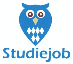 Studiejob