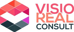 VISIO REAL CONSULT