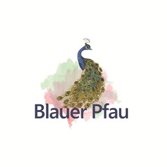 Blauer Pfau