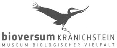 bioversum KRANICHSTEIN MUSEUM BIOLOGISCHER VIELFALT