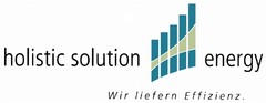 holistic solution energy Wir liefern Effizienz.