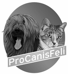 ProCanisFeli