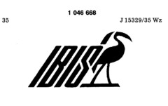 IBIS