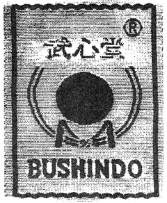 BUSHINDO