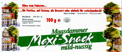 Maxi-Snack Maasdammer mild-nussig