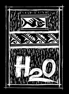 H2O