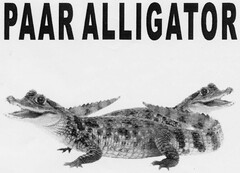 PAAR ALLIGATOR