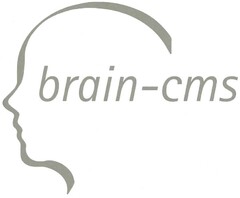 brain-cms