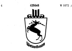 Wetzotherm