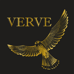 VERVE