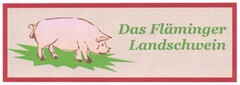 Das Fläminger Landschwein