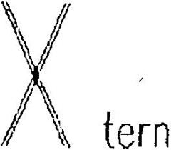 X tern