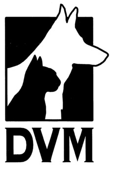 DVM